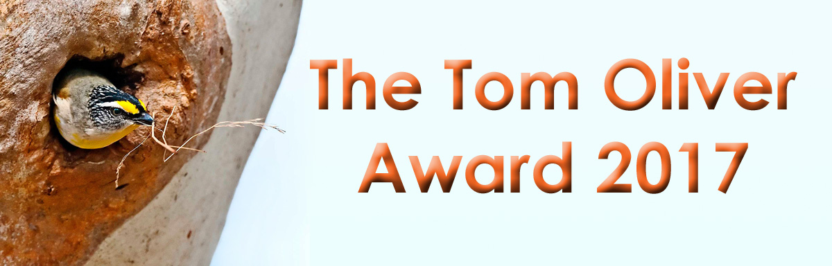 Tom Oliver Award 2017