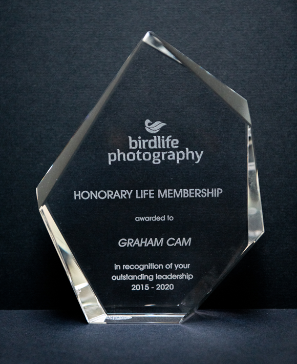 Example of the laser-etched crystal award